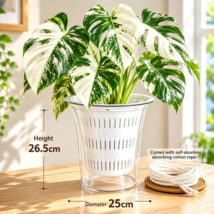 Selbstbewässernder Transparenter PP PC Blumentopf im Schlichten Design für den Hausgebrauch Hydroponischer Behälter Geeignet für Pothos - Product Image 2