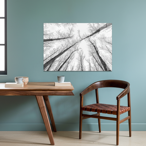 Tableau sur toile imprimé moderne et élégant : Décoration de paysage, ART SUR VERRE TÉRMÉTRAL - Product Image 3
