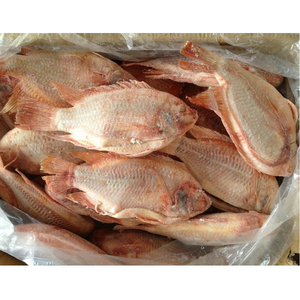 <span class=keywords><strong>Acheter</strong></span> du Tilapia Rouge Vivant Congelé en Gros de Chine – Prix Compétitif pour Tilapia Rouge Frais - Product Image 3