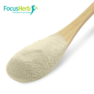 FocusHerb อาหารเสริมเกรดอาหาร ผลิตจากคลังสินค้าในสหรัฐอเมริกา สารสกัดจากสาหร่ายเคลป์ ผงสารสกัดสมุนไพร 85% ฟูโคอิแดน ผงสีขาว - Product Image 2