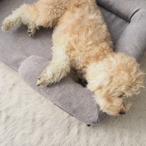 Peppy bạn bè Bộ nhớ bọt con chó giường sofa giường hỗ trợ bọt vật nuôi đi văng với có thể tháo rời có thể giặt Bìa - Product Image 6