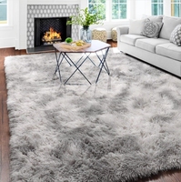 Tapis à poils longs en peluche Tapis moelleux pour chambre à coucher Salon Tapis moelleux Tapis pour salon Tapis d'intérieur moderne et flou