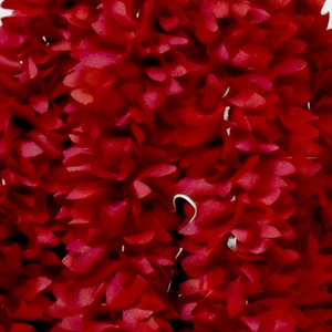 Guirnalda de Flores Artificiales Rojas Decorativas con Campanas Doradas para Bodas, Festivales y Decoración de Templos - Product Image 2