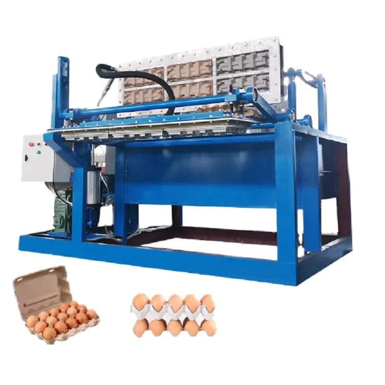 Small Business Ideas Low Cost Pet Egg Tray Cartons Making Machine Uesd Materials Reclyced