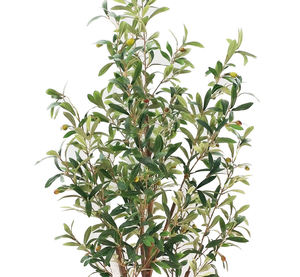 <span class=keywords><strong>Arbre</strong></span> d'olivier artificiel <span class=keywords><strong>en</strong></span> soie artificielle, <span class=keywords><strong>arbre</strong></span> <span class=keywords><strong>en</strong></span> pot d'intérieur, tronc <span class=keywords><strong>en</strong></span> <span class=keywords><strong>bois</strong></span> naturel, fruits réalistes, <span class=keywords><strong>décoration</strong></span> de la maison, <span class=keywords><strong>décoration</strong></span> de bureau, <span class=keywords><strong>décoration</strong></span> murale - Product Image 4