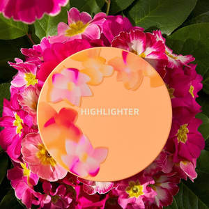 Face Makeup Pink Color Blusher Highlighter Blush Palette Set 3 in 1 <b>Bronzer</b> & Highlighters Vegan Makeup Eyeshadow - Product Image 6