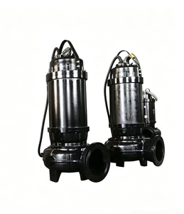 Bomba Sumergible para Aguas Residuales, Bomba Sumergible Personalizada de Alta Presión para Lodos de Cemento, Bomba Centrífuga - Product Image 2