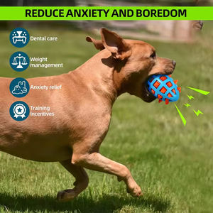 Dayanıklı TPR köpek çiğnemek oyuncak gıcırtılı ses dikenli doku köpek diş çıkarma diş temizleme ve çevre dostu oyun - Product Image 5