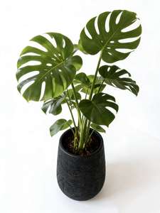 <span class=keywords><strong>กระถาง</strong></span>ปลูก<span class=keywords><strong>ต้นไม้</strong></span>แบบหมุนขึ้นรูป น้ำหนักเบา เป็นมิตรกับสิ่งแวดล้อม ใช้ได้ทั้งภายในและภายนอกอาคาร ขนาดใหญ่ สำหรับปลูกพืชในบ้านและสวน  <span class=keywords><strong>กระถาง</strong></span>ดอกไม้แบบหนาพิเศษ ทนทาน - Product Image 5