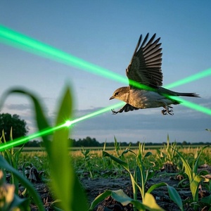 Laser portable anti-oiseaux Agrilaser de 1000 km de portée, fabriqué en Chine, repousse les oies, les herons, les mouettes et les cygnes, laser <span class=keywords><strong>vert</strong></span> - Product Image 6