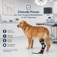Sangle réglable pour support de cheville de chien en polyester, légère, durable, absorbe la pression des pas, protège les plaies et la friction, favorise la guérison des chiens