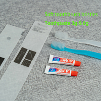 Ensemble de brosses à dents de voyage écologiques Brosse à dents et dentifrice en plastique jetables portables