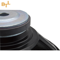 Alimenté subwoofer haut-parleurs professionnel 15 pouces audio