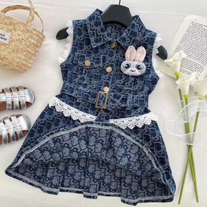Abito in Denim da ragazza 2025 nuova gonna in pizzo per bambine in versione coreana gonna per bambini - Product Image 5