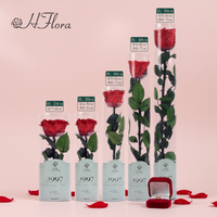 Bouquet de roses éternelles personnalisées pour festival, fleurs préservées, branches de roses immortelles, roses éternelles, boîte cadeau, bouquet de fleurs rose, 50 pièces