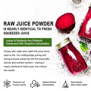 Hữu cơ củ cải đường gốc Bột uống nguyên liệu củ cải đường chiết xuất bột cho năng lượng và độ bền - Product Image 5