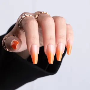 Op Maat Gemaakte Natuurlijke Nep Nagels Gratis Verzending Poly Gel Acryl Nagels Handgeschilderde Pers Op Nagels