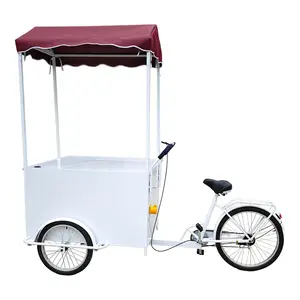 Best Mobile Electric Cargo Bicycle Trailer 3 Wheel Tricycle With Front Basket