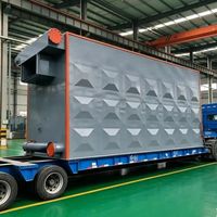 Nueva Caldera Industrial de Aceite Térmico de Alta Temperatura con Rejilla de Cadena Horizontal Serie YLW, de Acero de Bajo Carbono, para Carbón, Biomasa y Cáscara de Arroz