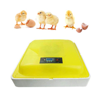 2024 Hhd Offre Spéciale bas prix 88 oeufs incubateur incubateur d'oeufs de poulet à couver automatique