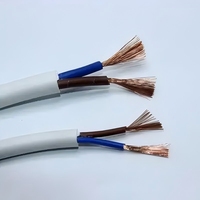 Câble souple YUWAN RVV-2*0.75 en cuivre blanc, isolation PVC 300V, taille de fil unique personnalisable, pour usage industriel, bâtiment et domestique