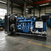 Generador de Gas de Alta Calidad y Económico de 100KW para Producción de Electricidad