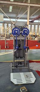 Machine d'entraînement économique pour les levées latérales, idéale pour les salles de sport de taille moyenne, équipement de fitness pour les deltoides et les muscles des épaules. - Product Image 3