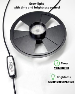 Terrario da Tavolo in Vetro con <span class=keywords><strong>Luce</strong></span> <span class=keywords><strong>per</strong></span> Coltivazione, 25 cm (9.8 pollici) H, <span class=keywords><strong>per</strong></span> Piante, Succulente, Muschio, Mini Giardini, Acquari <span class=keywords><strong>per</strong></span> Pesci Betta, Coltivazione Funghi - Product Image 6