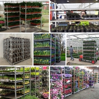 Chariot de transport agricole CC Containers, chariot à fleurs danois en maille métallique galvanisée, OEM, réglable, détachable, capacité 100 kg