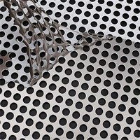 0.3mm 0.5mm petit trou poinçon écran maille feuille en acier inoxydable perforé métal plaque maille perforée rouleau