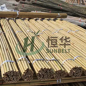 Piquet de bambou sec agricole bon marché