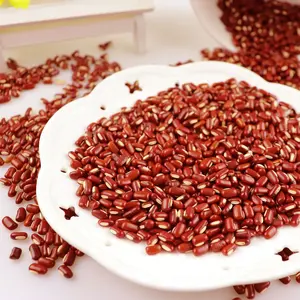 Chinese Dried Small Red Bean Chi Xiao Dou Long Shape Beans Red Bamboo Beans