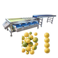 Hoge capaciteit fabrieksdirecte verkoop automatische fruit- en groentesorteermachine met hoge kwaliteit voor commercieel gebruik 220V/380V