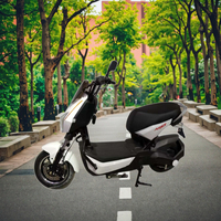 Scooter électrique haut de gamme EBIKE 48V 350W Batterie au plomb-acide Moteur sans balais Cadre en acier Grande puissance