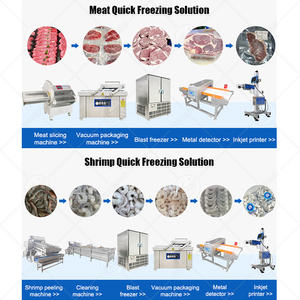 ORME Industrial Seafood Chiller Freezer Vertical Nitrogênio Líquido Frango Carne Explosão Freezer Gabinete para Venda - Product Image 2