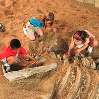 Jeux de divertissement sur le thème des dinosaures, jeux pour enfants, fouilles de fossiles de dinosaures, bac à sable pour enfants