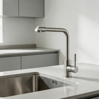 Nouveau Robinet de Cuisine Mural Monocommande en Acier Inoxydable 304 Brossé Chromé avec Mitigeur et Douchette Extensible