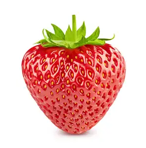 IQF Frozen Fruit Bestseller Gewürfelte Erdbeere IQF Frozen Strawberry
