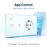 Interruptor Inteligente Tipo 157 Eu Tuya Zigbee 3.0, Enchufe de Corriente Normal, Panel de Vidrio Templado, 220V 16A, Control Remoto por Voz y Aplicación, Temporizador