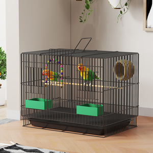 <span class=keywords><strong>Cage</strong></span> à oiseaux en fer durable motif solide personnalisable usine cheveux raides utilisation extérieure maison plateau en plastique boîte directe d'usine - Product Image 2