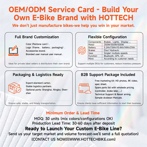 HOTTECH Bicicletta Elettrica Pieghevole Leggera e Compatta per Pendolarismo e Tempo Libero, Multifunzionale con Motore Posteriore da 36V - Product Image 5