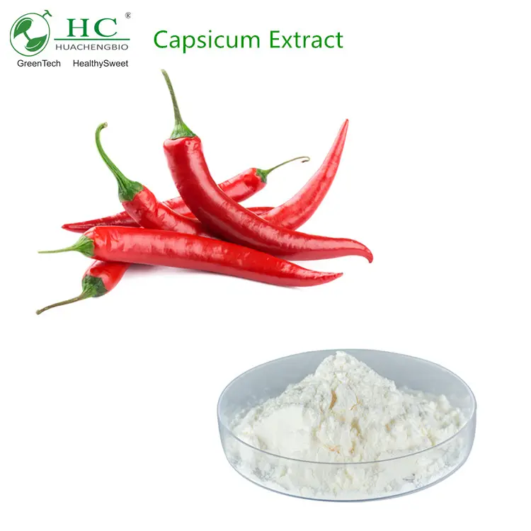 100% 자연 95% capsaicin 10:1 추출물 capsicum 추출물