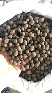 Sud-est Asie Offre Spéciale Leca <span class=keywords><strong>Argile</strong></span> Expansée Boules Hydrotonic <span class=keywords><strong>Argile</strong></span> Expansée Pellets Pour hydroponique Jardin - Product Image 4