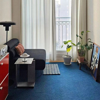 Tapis moderne à boucles en velours, ignifuge, antidérapant, écologique, imperméable, adapté aux animaux domestiques, pour voyages, camping, hôtel, épaisseur 4-5 mm, taille personnalisée