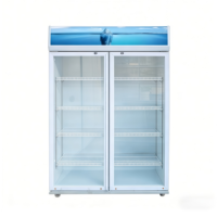 Vitrine réfrigérée commerciale à double porte avec refroidissement direct par air, capacité de 829 L, 8 étagères réglables, marque Richall