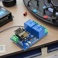 Dual-Way 5V Esp8266 Smart Home WiFi Relé Android App Interruptor de control remoto Internet de las cosas Acceso remoto móvil