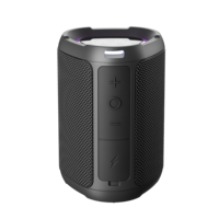 W-King D110 Enceinte sans fil 15W, enceinte portable, mini enceinte avec lumières RGB, étanche IPX7, TWS, TF/AUX