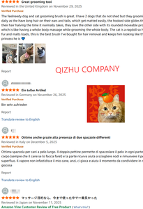 NOUVEAU Produit Brosse à vapeur pour animaux de compagnie Peigne de massage des cheveux auto-nettoyant Brosse de toilettage à vapeur électrique - Product Image 6