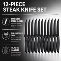 Ensemble de 12 couteaux à steak en acier inoxydable 3CR13 avec manches en plastique ambidextres et bord dentelé