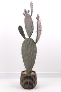 Cactus <span class=keywords><strong>de</strong></span> pêche artificiel en plastique, plantes en pot pour la création <span class=keywords><strong>de</strong></span> paysages, grandes plantes cactus - Product Image 2